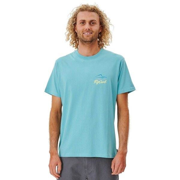 Rip Curl Palm Islands Tee Mens | Men's T-Shirts | Varuste.net English