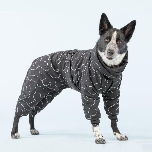 Paikka Winter Suit for Dogs | Coats and overalls - Dog sports | Varuste ...