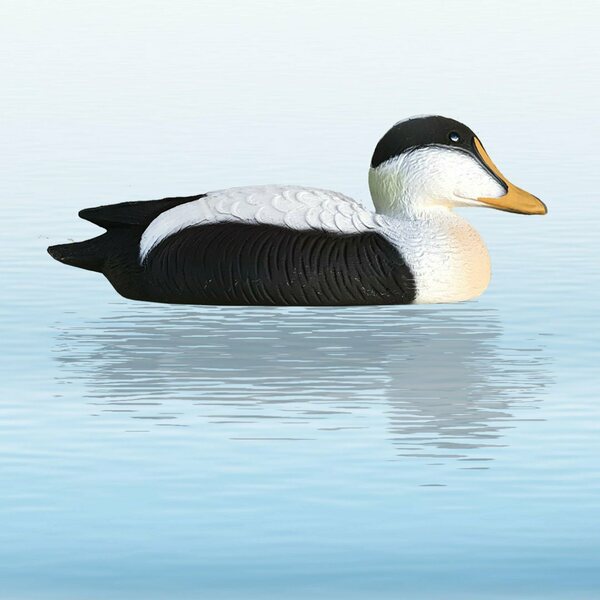 SportPlast Eider, Floating (12 kpl)