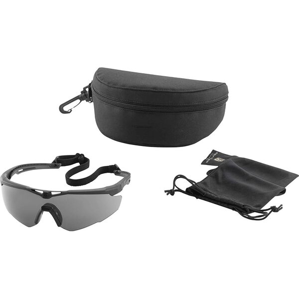 Revision Military Stingerhawk Eyewear Basic Kit