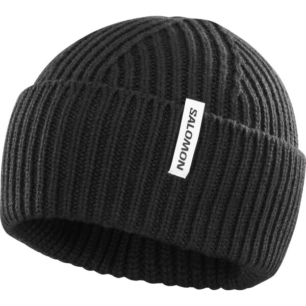 Salomon Snowbird Beanie