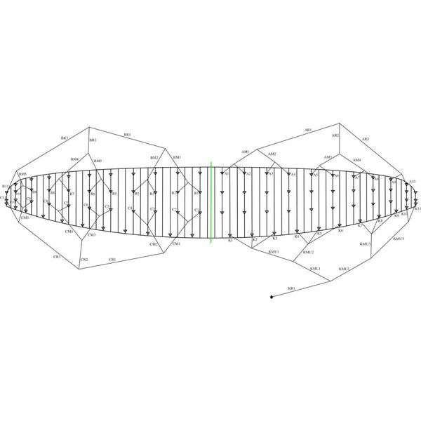 Ozone Chrono V5 11m² Bridle Line Set