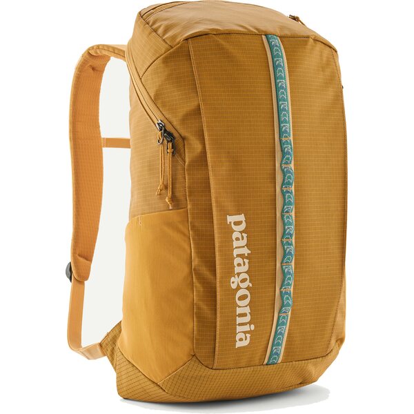 Patagonia Black Hole Pack 25L