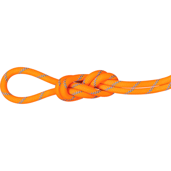 Mammut 8.7 Alpine Sender Dry Standard Rope