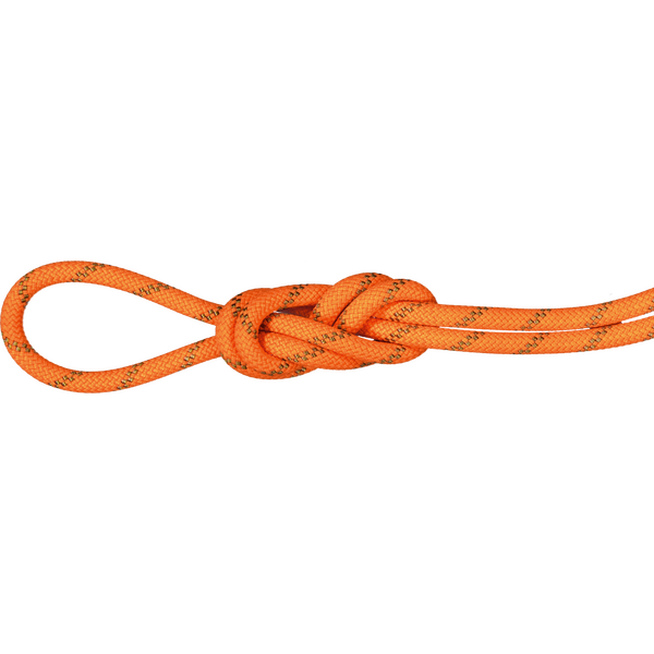 Mammut 8.0 Alpine Dry Rope