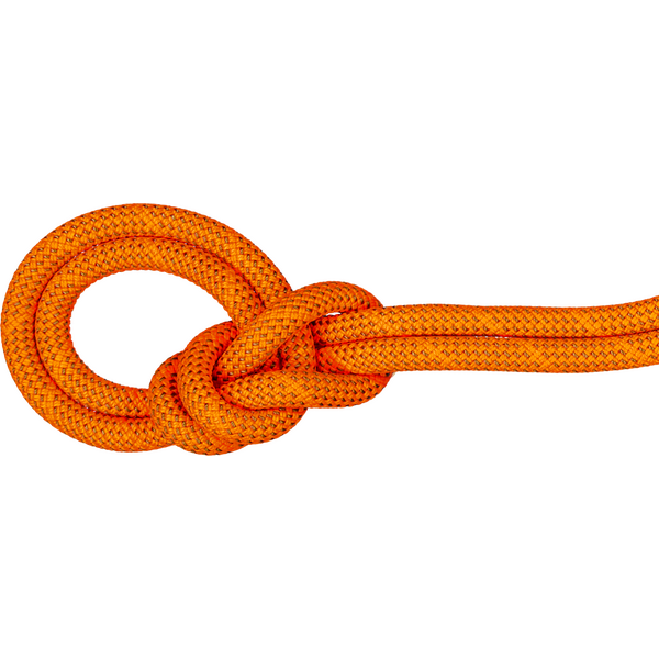 Mammut 9.8 Crag Dry Rope