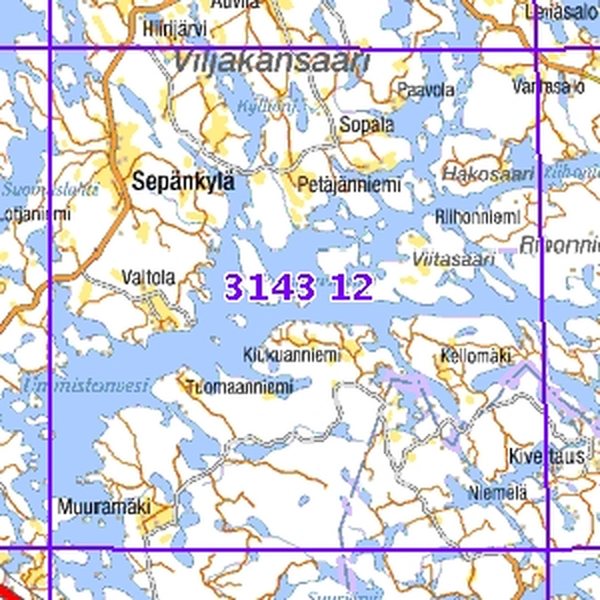 Ummistonvesi 95/96, SK, tait., 3143 12 Maastokartta