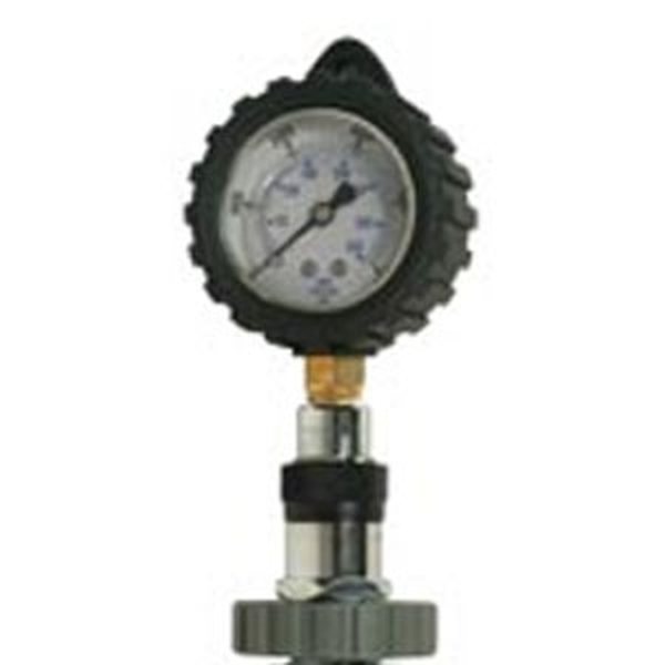 Pressure Gauge DIN 300 bar