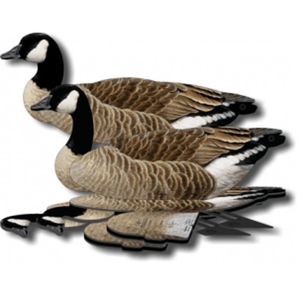 Nra Fud Canada goose -box 6pcs. + weight