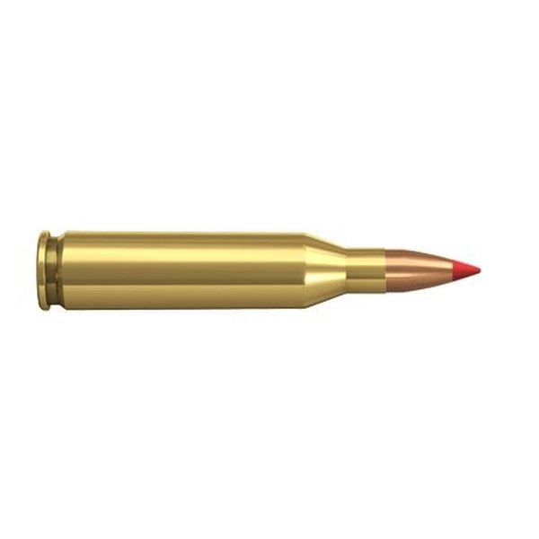 Norma .243 win 4,9g V-max hornady 20pcs
