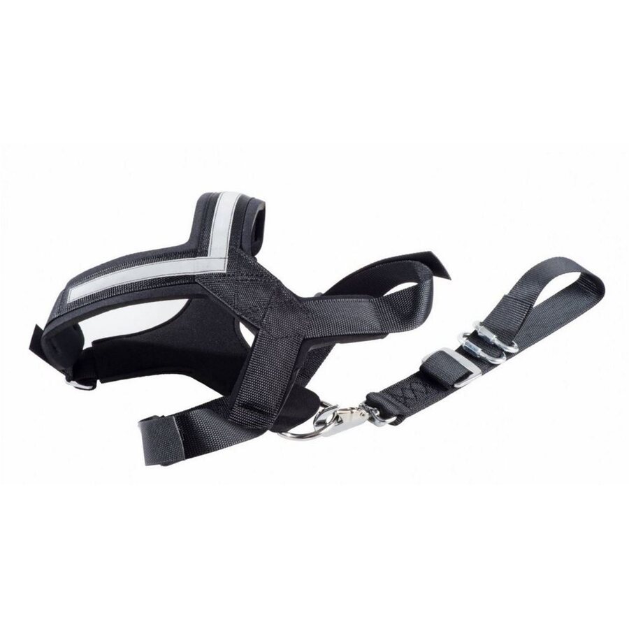 Allsafe Safety Harness