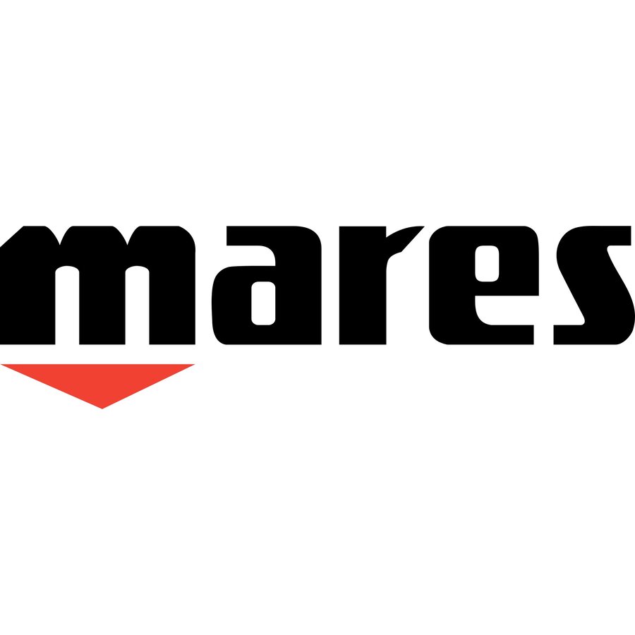 Mares regulator yearly service