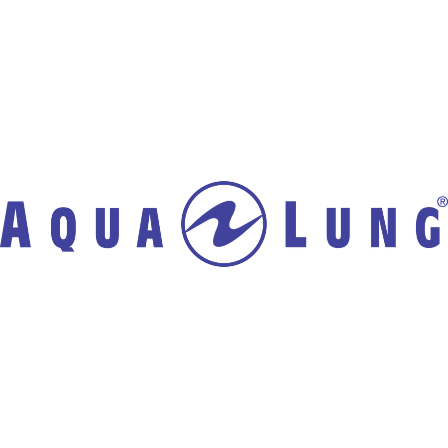 Aqua Lung double regulator set annual service