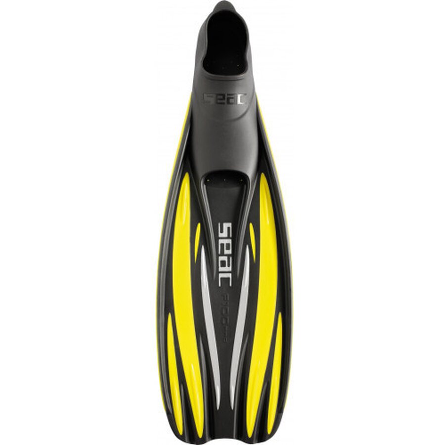 Seacsub F100 Pro