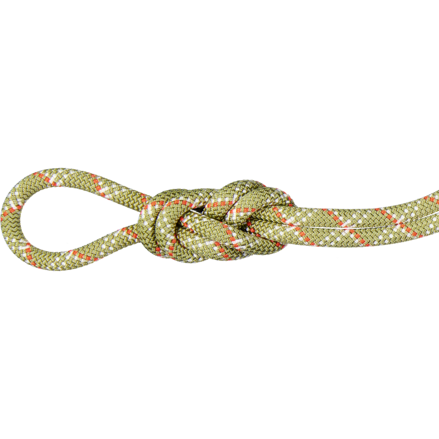 Mammut 9.5 Gym Classic Rope
