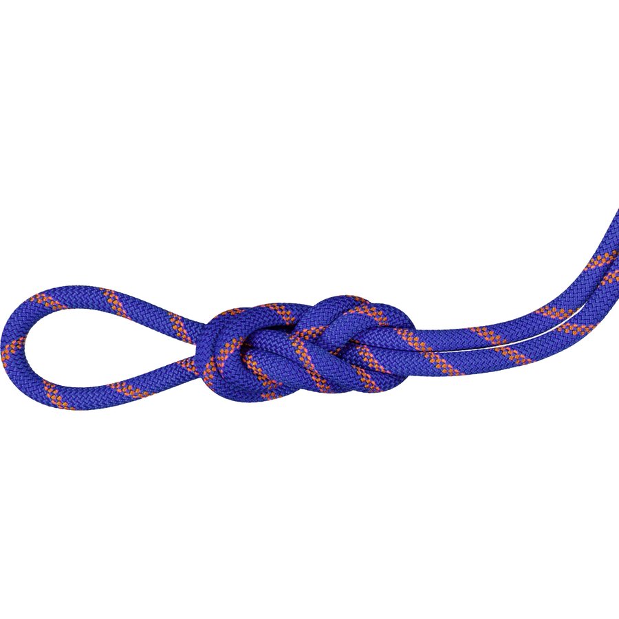Mammut 9.0 Alpine Sender Dry Standard Rope