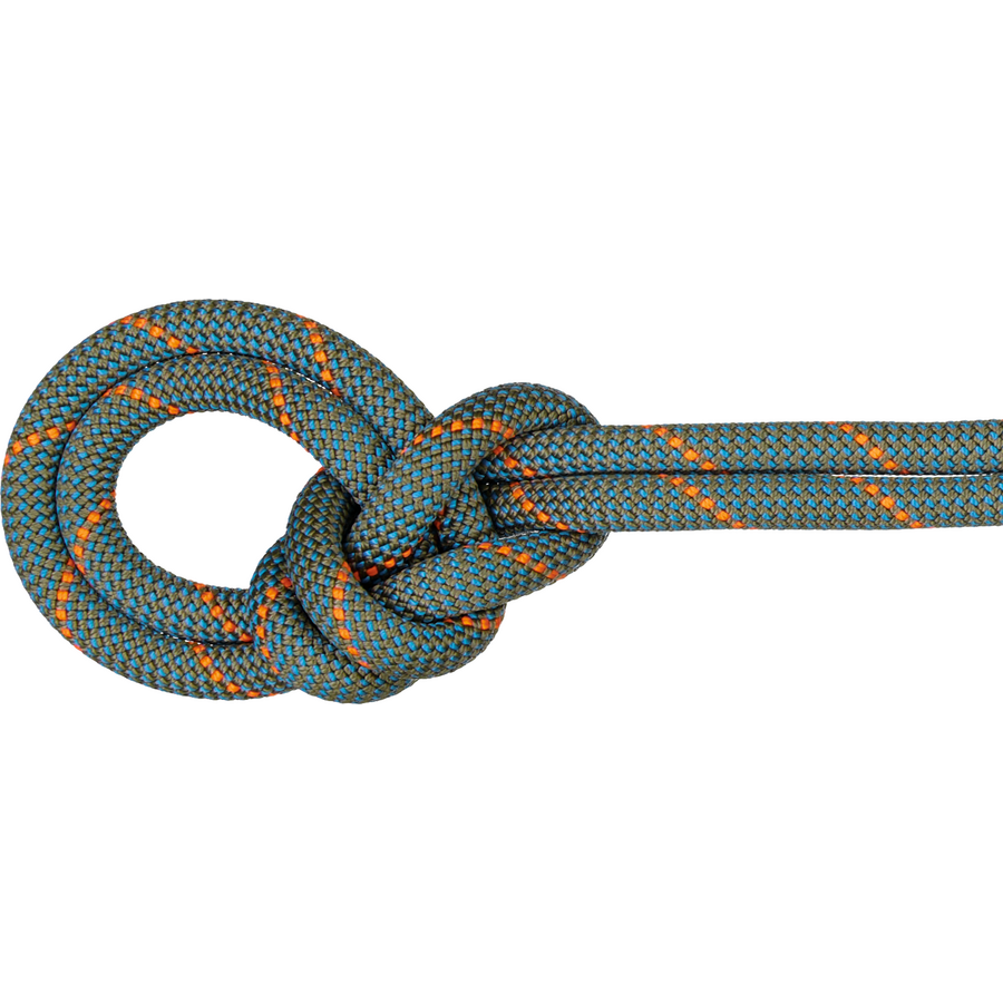 Mammut 9.9 Grag Workhorse Dry Rope