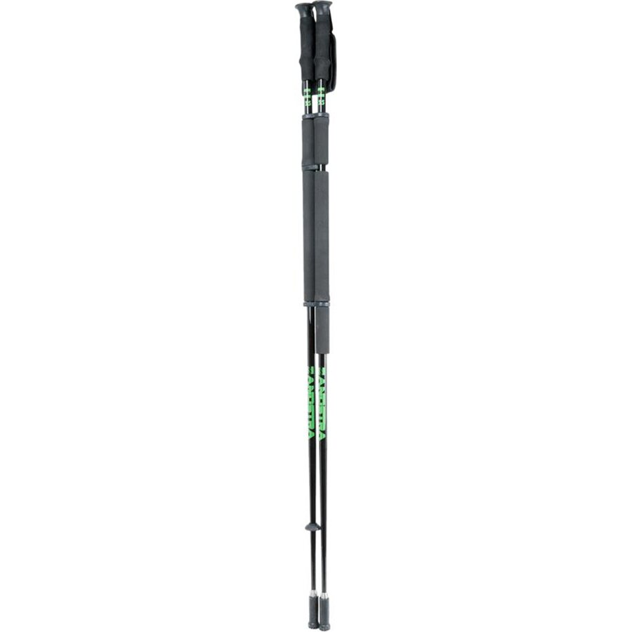 Zandstra Nordic Double Ice Poles