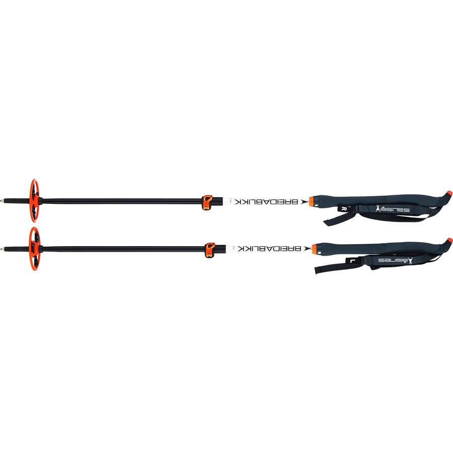 Åsnes Breidablikk BC 2-Section Alloy Pole