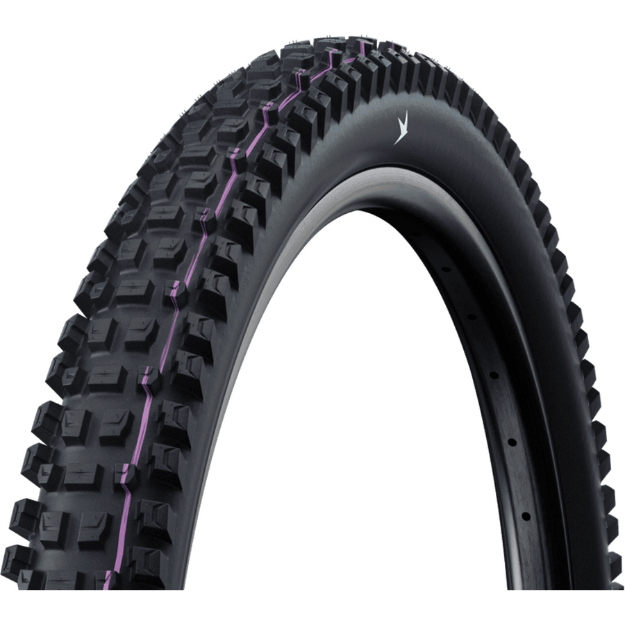 Schwalbe Albert Trail Pro Evolution Folding tire 29" 2,50" (63-622)