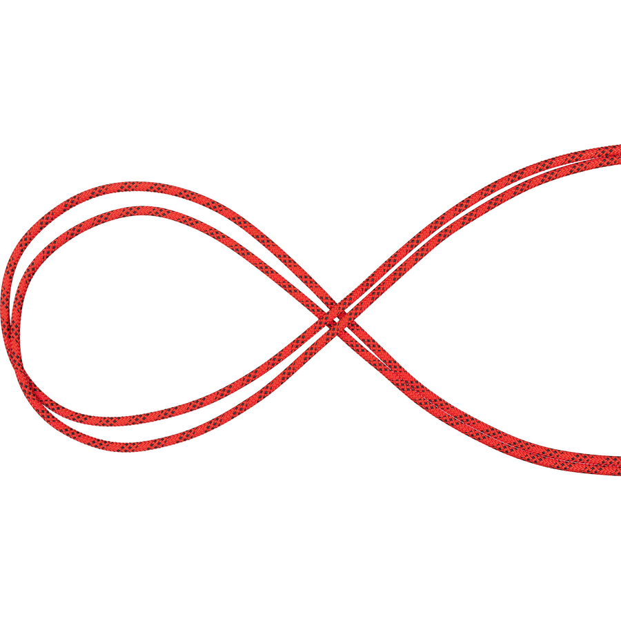 Mammut 10.5 Performance Static, 100m