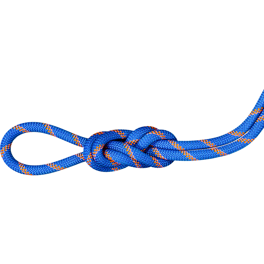 Mammut 9.0 Alpine Sender Dry Standard Rope