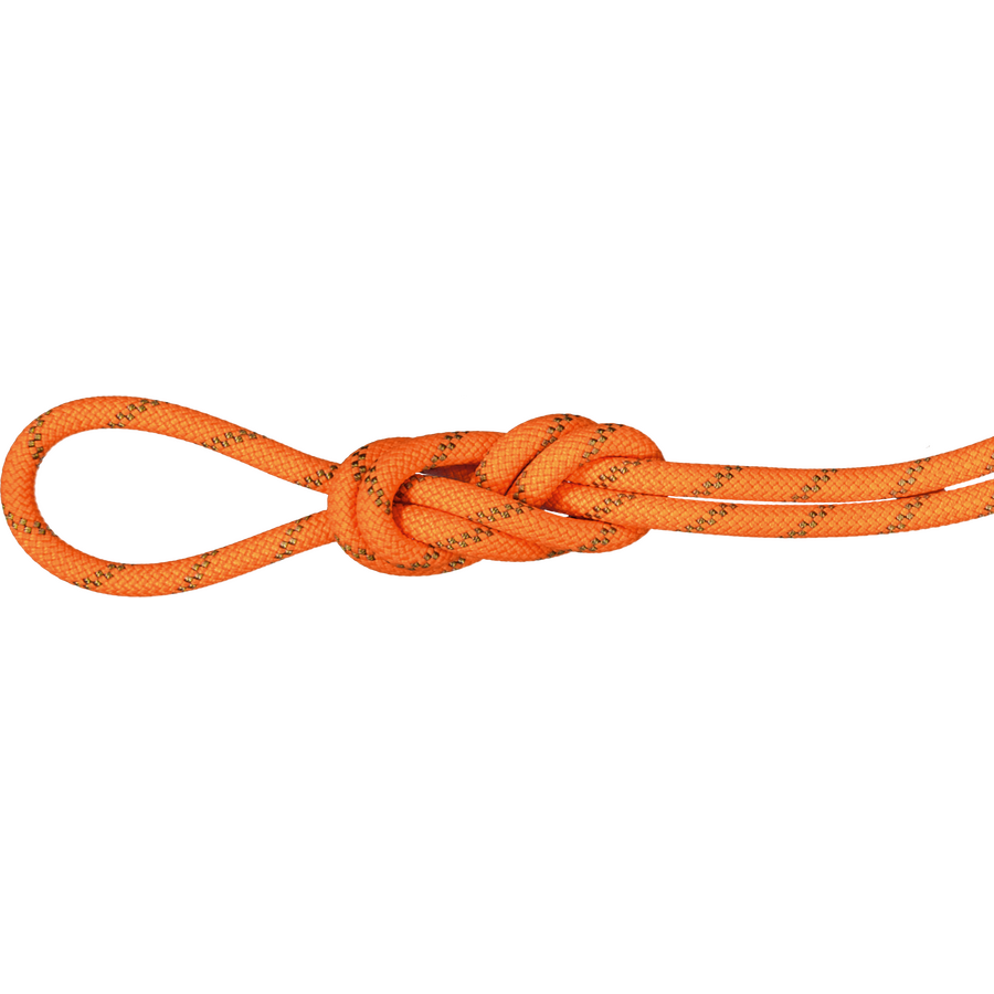 Mammut 8.0 Alpine Dry Rope