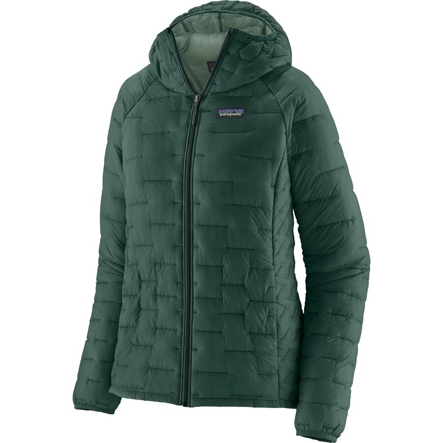 Patagonia Micro Puff Hoody Womens