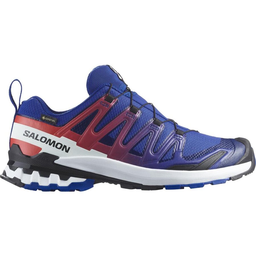 Salomon XA PRO 3D V9 GTX Equipe Capsule