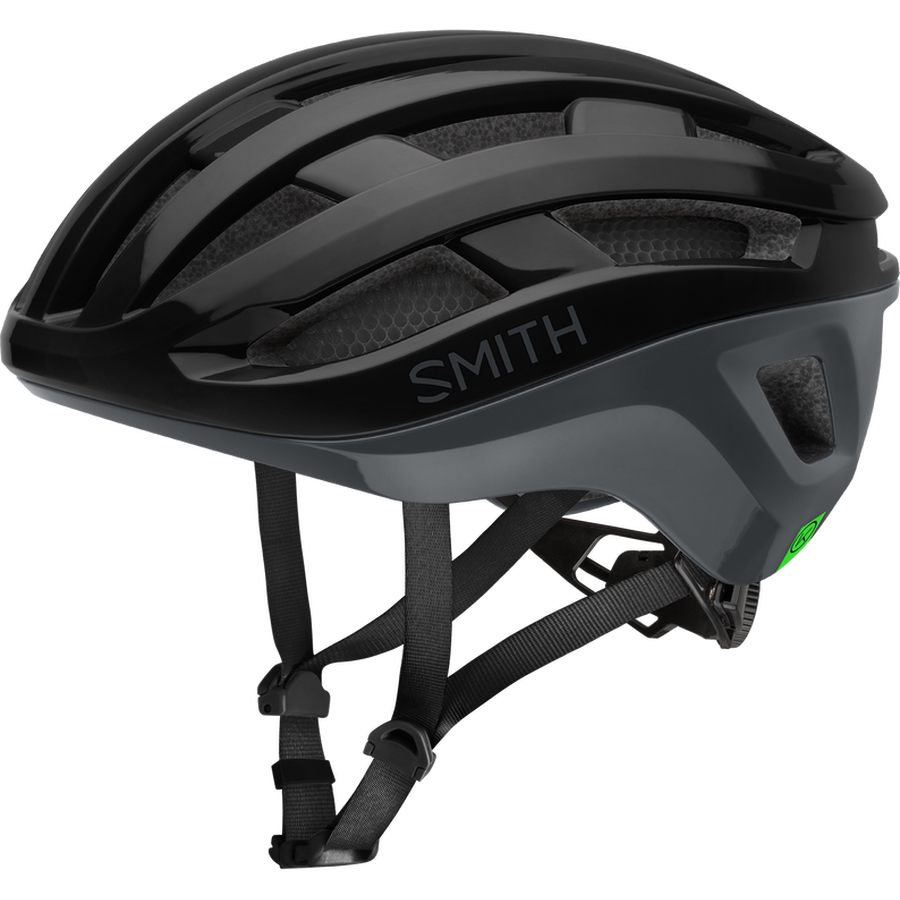 Smith Persist MIPS