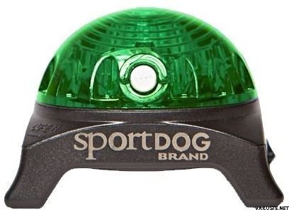 Sportdog net outlet