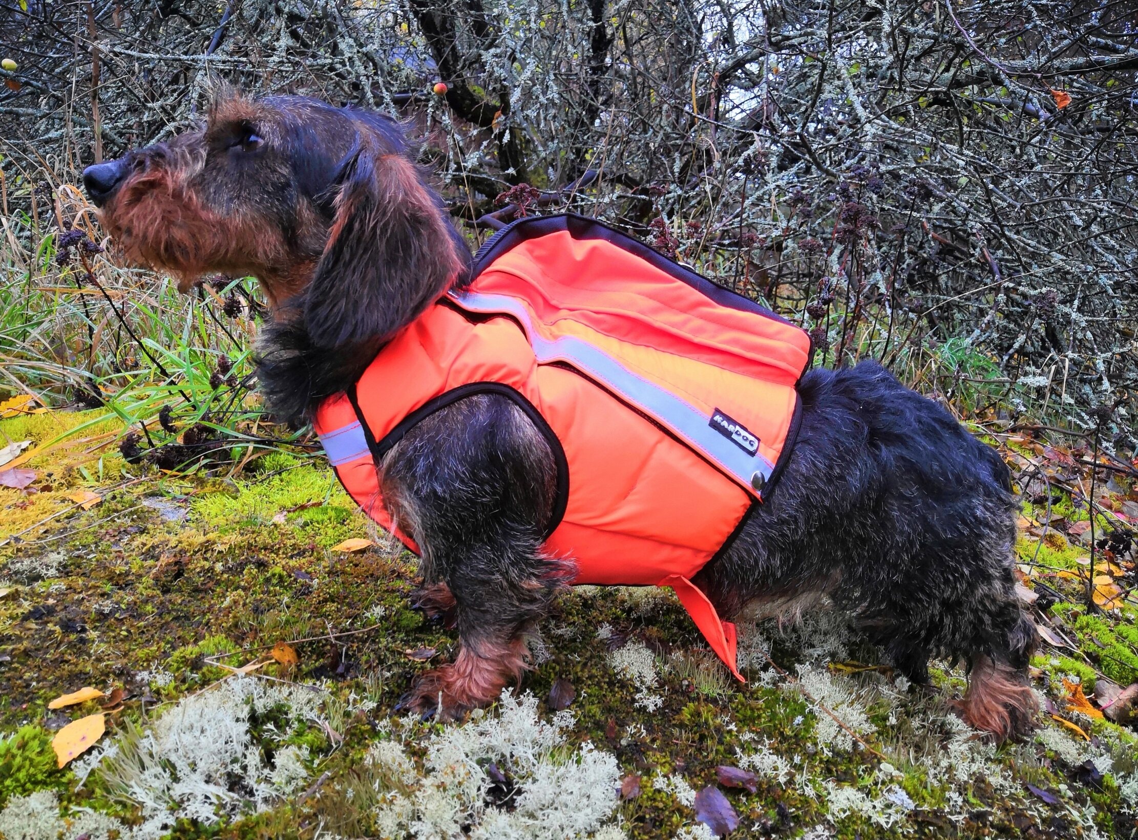 Kardog Saga - GPS Buoyancing Safety Vest