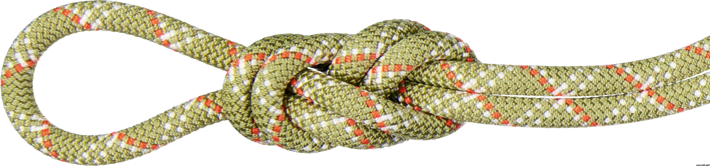 Mammut 9.5 Gym Classic Rope