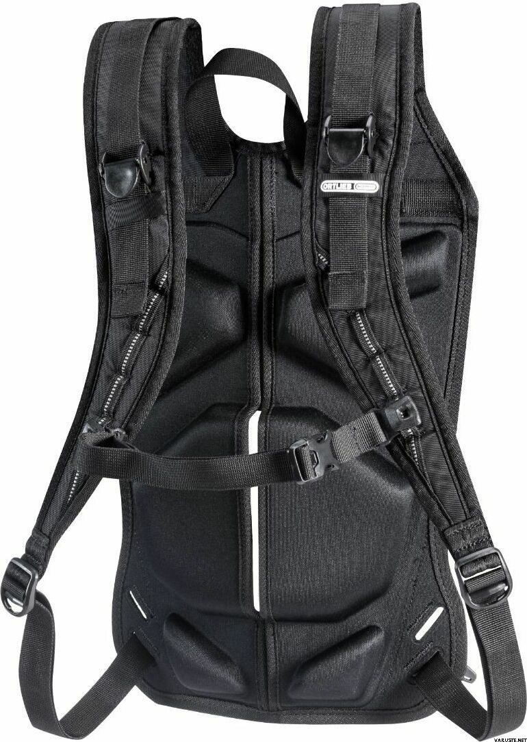CARRYING SYSTEM FOR PANNIERS