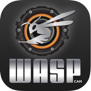 WASP