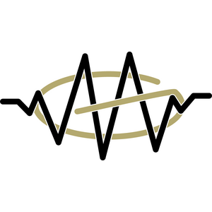 Acoustic Attenuation Group