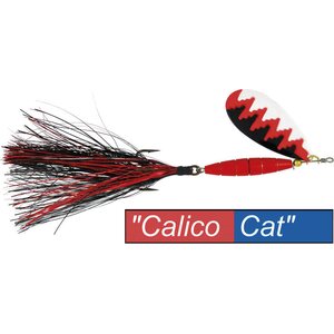 Calico Cat