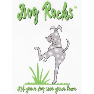Dog Rocks