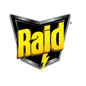 Raid