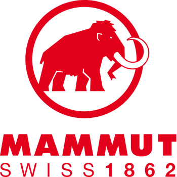 Mammut Mini Carabiner Workhorse Keylock L
