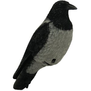 Varjak