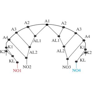 Inflatable Kite Bridle Lines