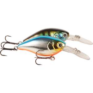Fiske