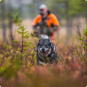 Идеи за подаръци за ловци