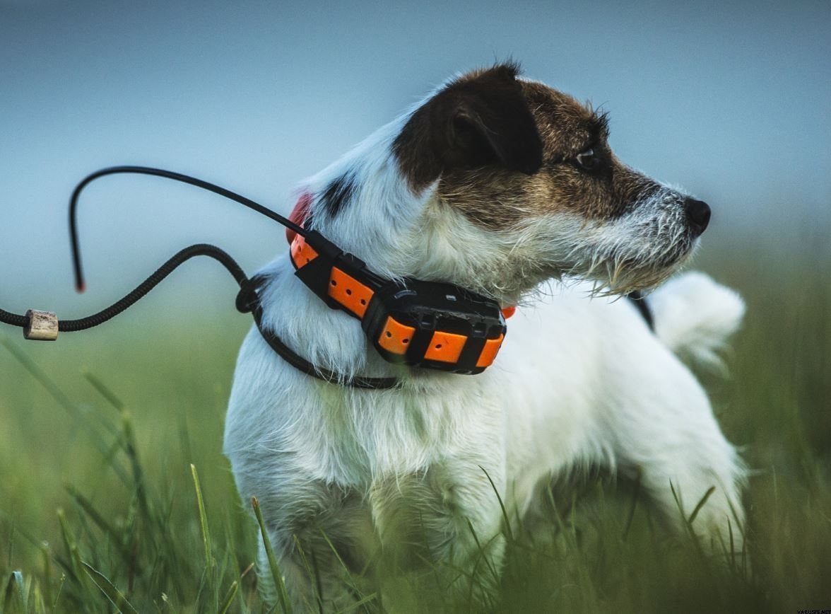 Garmin Astro 320 + T5 Mini Dog Device GPS Dog Tracking Devices